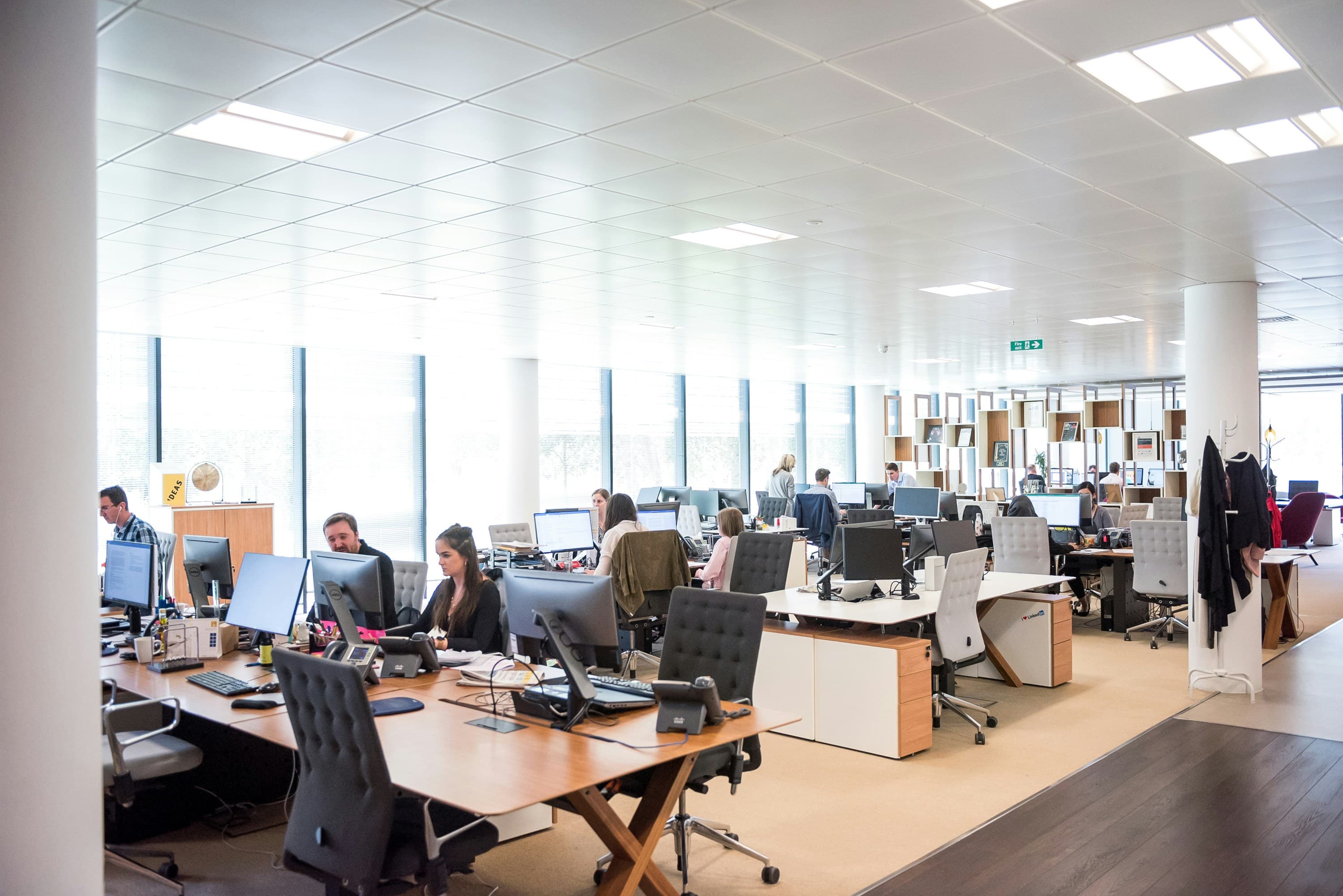 Modern office interior